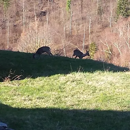 Valbuona Bed & Breakfast Mercatello sul Metauro