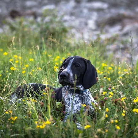 Bed & Breakfast Valbuona