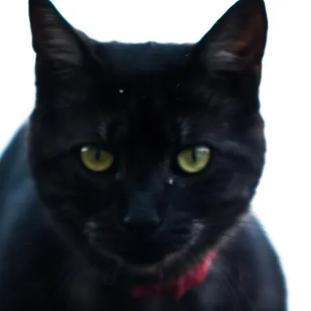 Bed & Breakfast Valbuona